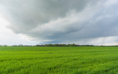 Obraz premium Plain landscape with leaden storm clouds in back lit at sunset 