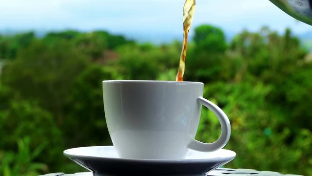 Filling up cup of coffee with plants of Coffee in the background. Cup of Coffee over beautiful nature background full hd and 4k. Vacations and relax concept. cup of tea in tropical ambient.