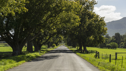 Nature of Kangaro valley in Southern highlands, Sydney © leelakajonkij