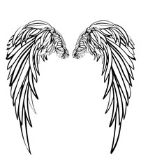 Wings. Vector illustration on white background. Black and white style 
