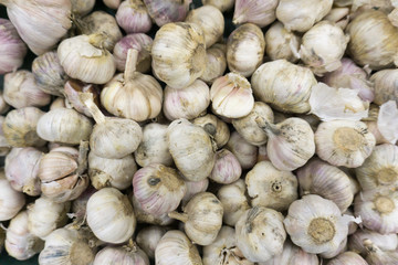 pile of garlic  in market