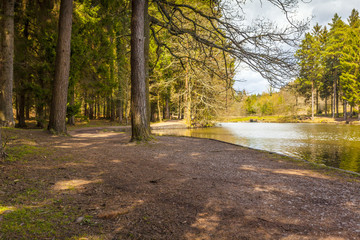 Banks of a colour rich lake