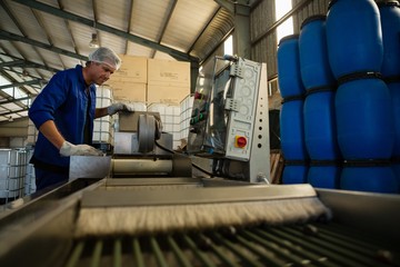 Worker putting olive in machine in factory