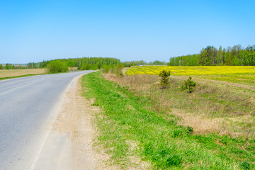 Fototapeta premium Vanishing straight highway with sunny blossoming rapeseed field along 