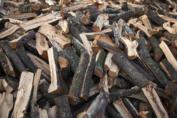 Glòria Sánchez Bartolomé telf: 651 73 46 23 mail gloria_sanchez_bartolome@yahoo.es