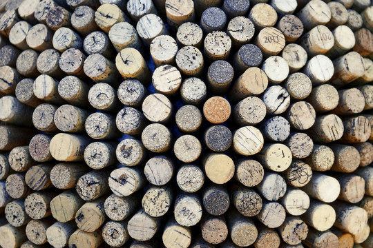 Gl&ograve;ria S&aacute;nchez (+34) 651734623 gloria_sanchez_bartolome@yahoo.es