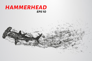 Fototapeta na wymiar The hammerhead shark from the particles. Fish hammer consists of small circles.