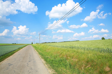 Fototapeta premium Beautiful landscape in Wallonia, Belgium