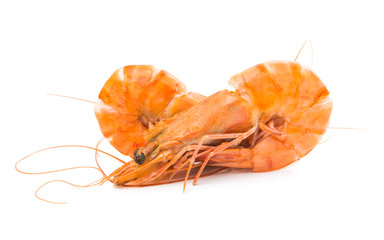 Boiled shrimp isolated