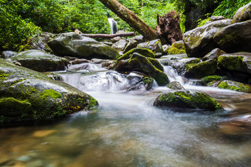 Tennessee Waterfall