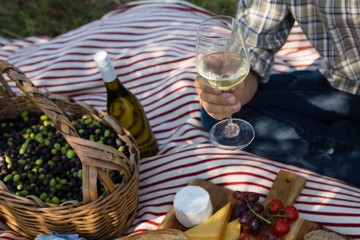 Mid-section of man sitting with a glass of wine on picnic blanket