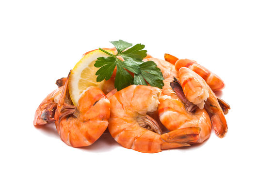 Boiled shrimp isolated