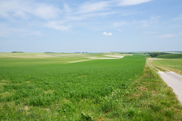 Agriculture in North France