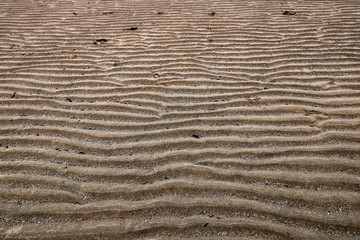 Rippled Sand on Coastal Beach