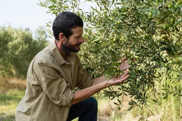 Foto auf Acrylglas Olivenbaum Bauer überprüft einen Olivenbaum