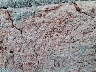 GRAINED WALL TEXTURE 2