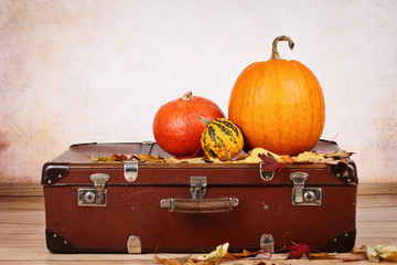 Fototapeta premium Vintage suitcase and pumpkins