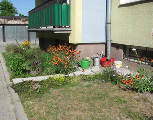 Small garden with flowers near the house