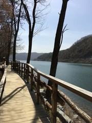 Wooden Bridge 