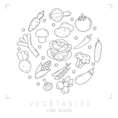 Set of line vegetable icons. Carrot, tomato, leek, cabbage, onion, mushroom, eggplant, cucumber, pepper, broccoli, potato, corn, radish, beet root, peas, garlic.