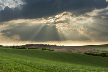 Cloudy wavy landscape of Moravian fields