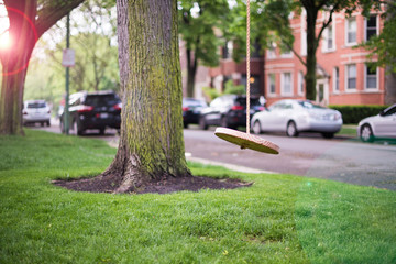 Homemade wooden swing on a city street