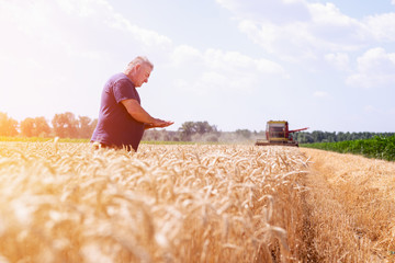 Farmer on his field during the wheat harvest