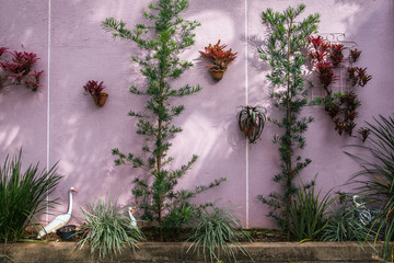 Pink and Green Wall