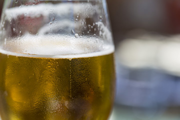 Fresh blond beer on an outdoor party close up