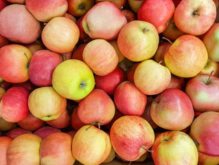 Beautiful apple background