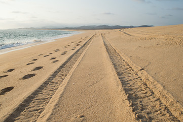 Beach path