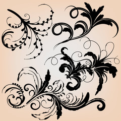 Floral calligraphic elements