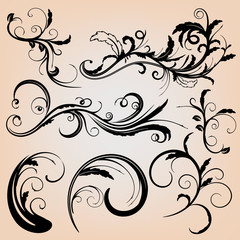 Floral calligraphic elements