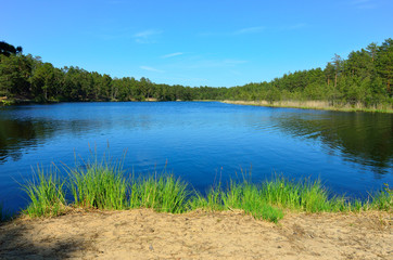 Forest lake in daylight with green grass on foreground. - 162770224
