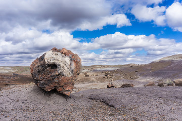 Fototapeta na wymiar a lone stone log (petrified wood from the Jurassic period) sitting on top of Blue Mesa member. Petrified Forest National Park, AZ