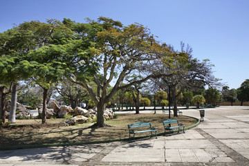 Park in Varadero. Cuba
