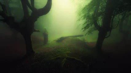 Zelfklevend Fotobehang dark forest with creepy trees © mimadeo