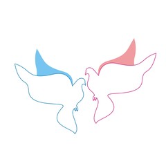 нежные голуби