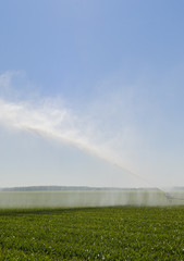 Water irrigation on Field Flevoland