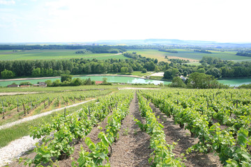 Fototapeta na wymiar Parc Naturel Regional de la Montagne de Reims, Champagne, France