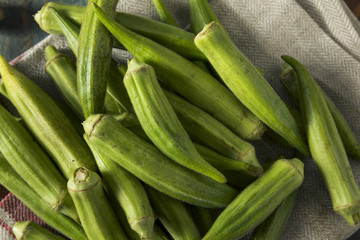 Raw Green Organic Okra Harvest