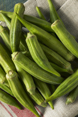 Raw Green Organic Okra Harvest