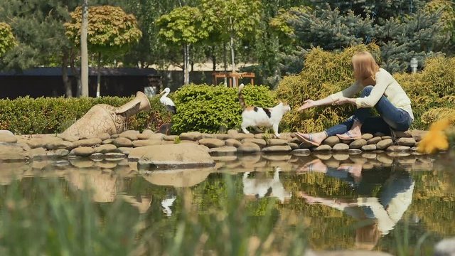 Lady strokes and feeds the cat near the pond