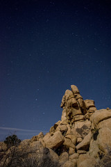 Joshua Tree Half Moon