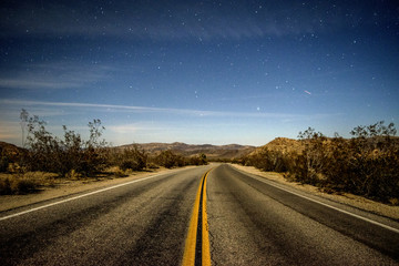 Joshua Tree Lonely Road