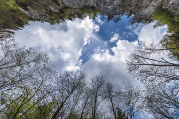 Obraz na płótnie Canvas Looking up at the sky in a gorge