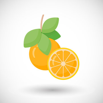Orange fruit vector flat icon