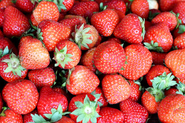 Strawberry background