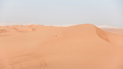 Fototapeta na wymiar pink sand dune desert scape
