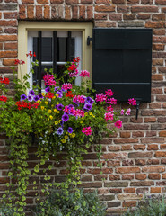 Fototapeta na wymiar Window with Flowers, The Netherlands